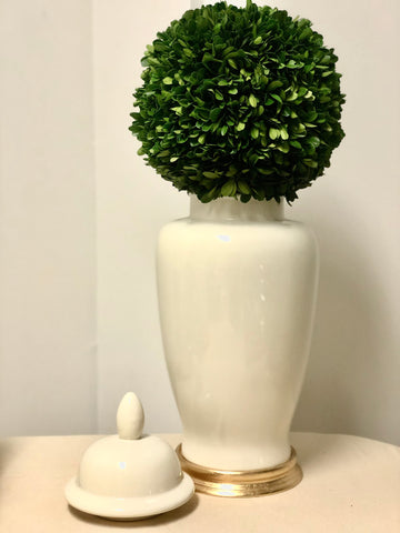 Dove White Ginger Jar with Gold Leaf Base